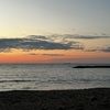 emmab137_